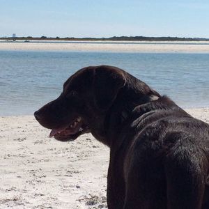 Meet your Posher, Rob